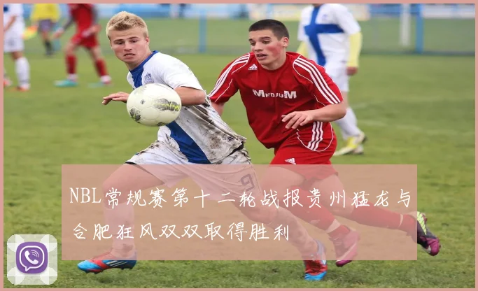 NBL常规赛第十二轮战报贵州猛龙与合肥狂风双双取得胜利