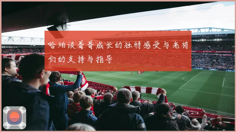 哈珀谈哥哥成长的独特感受与老将们的支持与指导