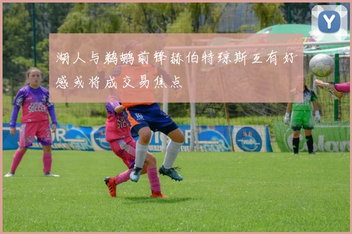 湖人与鹈鹕前锋赫伯特琼斯互有好感或将成交易焦点